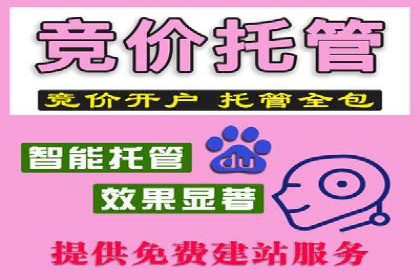 成功案例剖析：信息流开户返点的应用与效果